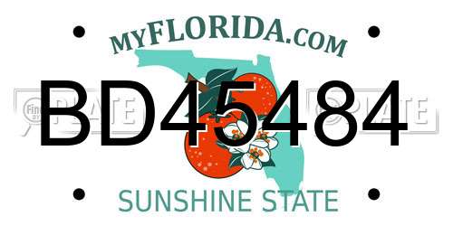 BD45484 Florida License Plate