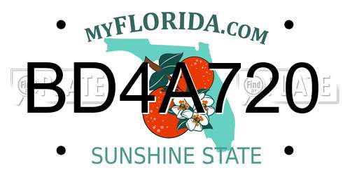 BD4A720 Florida License Plate