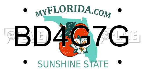 BD4G7G Florida License Plate