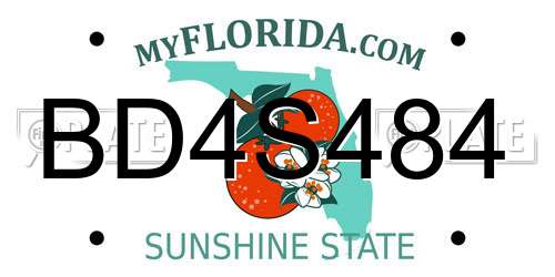 BD4S484 Florida License Plate