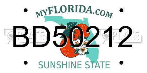 BD50212 Florida License Plate