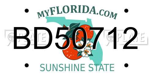 BD50712 Florida License Plate