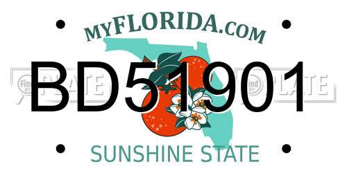 BD51901 Florida License Plate