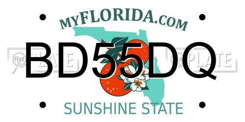 BD55DQ Florida License Plate