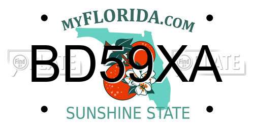 BD59XA Florida License Plate