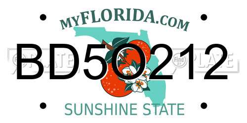 BD5O212 Florida License Plate