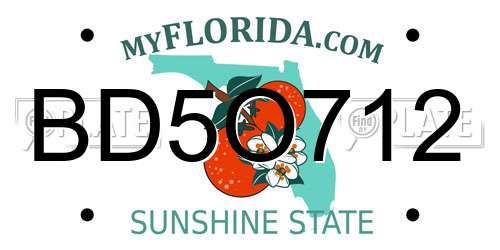 BD5O712 Florida License Plate