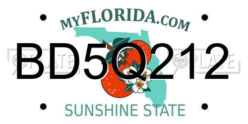 BD5Q212 Florida License Plate