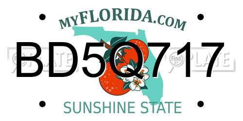 BD5Q717 Florida License Plate