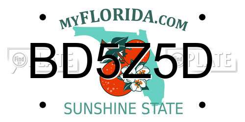 BD5Z5D Florida License Plate