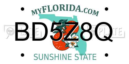 BD5Z8Q Florida License Plate
