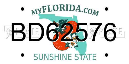 BD62576 Florida License Plate