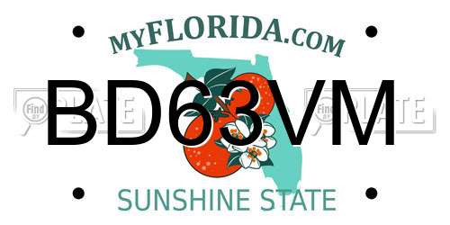 BD63VM Florida License Plate