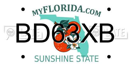 BD63XB Florida License Plate