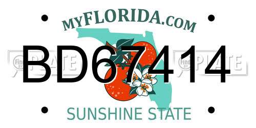 BD67414 Florida License Plate