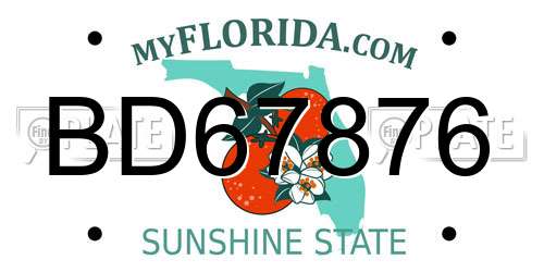 BD67876 Florida License Plate
