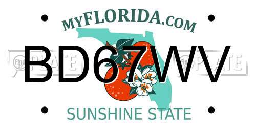 BD67WV Florida License Plate