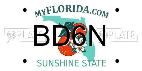 BD6N Florida License Plate