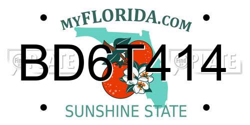 BD6T414 Florida License Plate