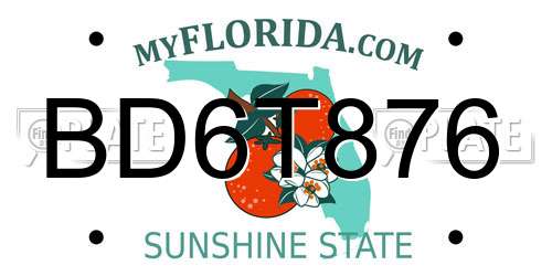 BD6T876 Florida License Plate