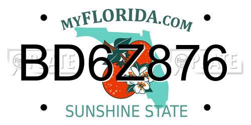 BD6Z876 Florida License Plate