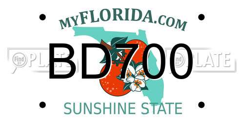 BD700 Florida License Plate