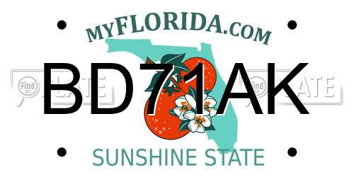 BD71AK Florida License Plate