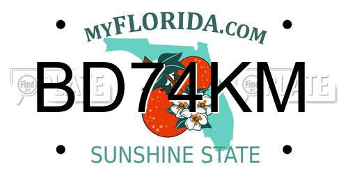 BD74KM Florida License Plate