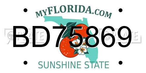 BD75869 Florida License Plate