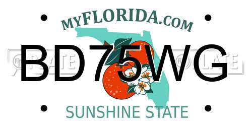 BD75WG Florida License Plate
