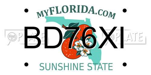 BD76XI Florida License Plate