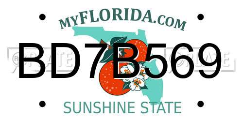 BD7B569 Florida License Plate