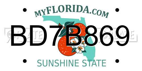 BD7B869 Florida License Plate
