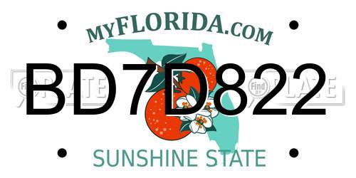 BD7D822 Florida License Plate
