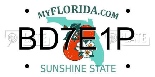 BD7E1P Florida License Plate