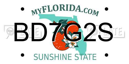 BD7G2S Florida License Plate