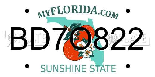 BD7O822 Florida License Plate