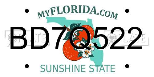 BD7Q522 Florida License Plate