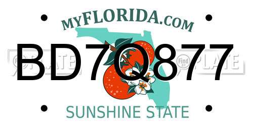 BD7Q877 Florida License Plate