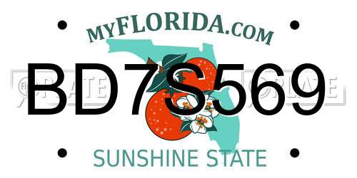 BD7S569 Florida License Plate