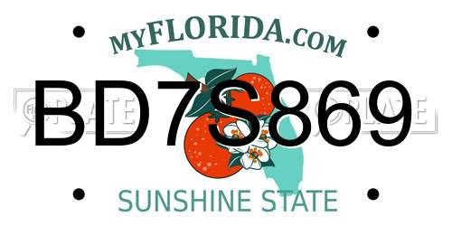 BD7S869 Florida License Plate