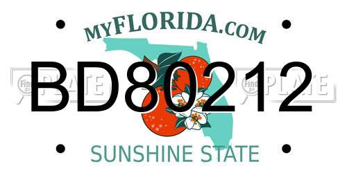 BD80212 Florida License Plate
