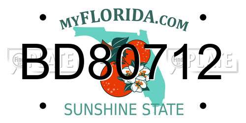 BD80712 Florida License Plate
