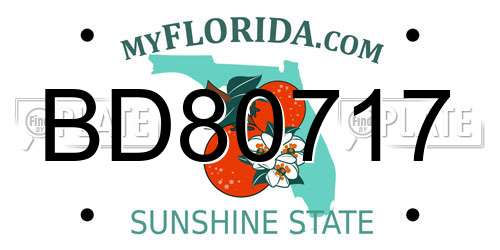 BD80717 Florida License Plate