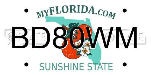 BD80WM Florida License Plate