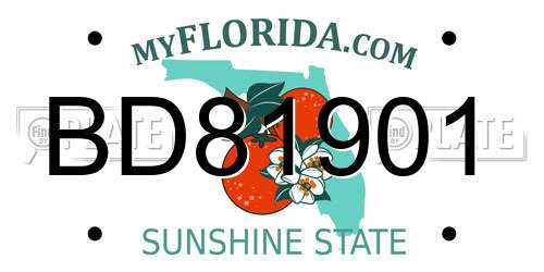 BD81901 Florida License Plate