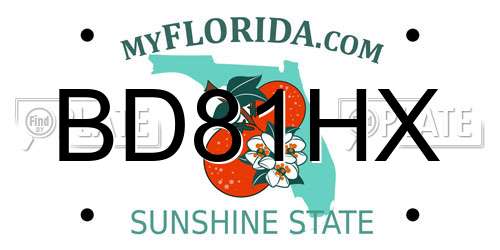 BD81HX Florida License Plate