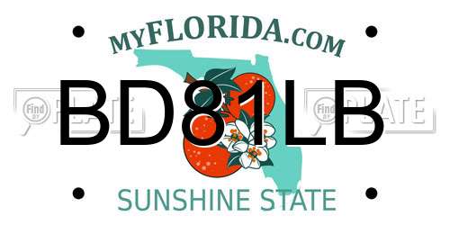 BD81LB Florida License Plate