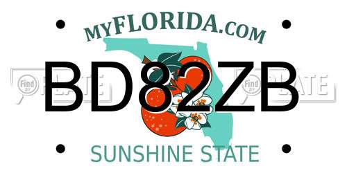 BD82ZB Florida License Plate