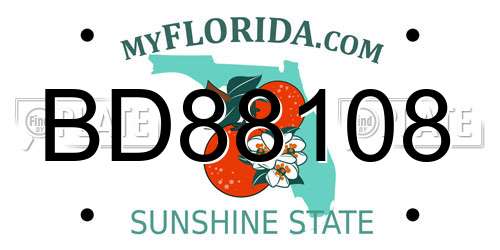 BD88108 Florida License Plate